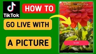 How to go live on TikTok with a picture |  go live on TikTok without showing your face on camera