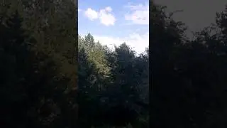 За моим окном! Сибирь!