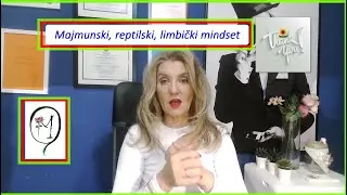 Majmunski, reptilski, limbički mindset