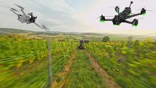 Pellenc Grapes Line 60 - Traubenvollernter im Einsatz mit der FPV und Mini 3 Pro bei Windstärke 7 !