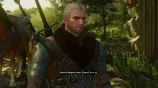Geralt being humble and refusing to get paid