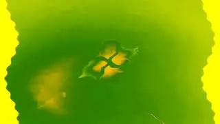 Windows 7 Startup Logon NOW MY VIDEO Effects in Pure Lime