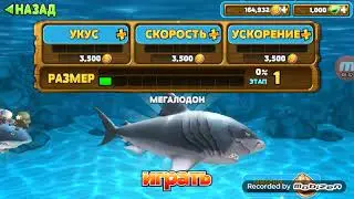Играю во взломанную хангри Шарк Эво.