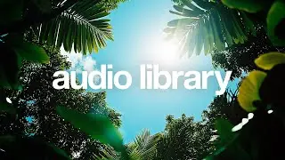 Sunshine – Spiring (No Copyright Music)