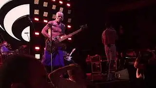 Red Hot Chili Peppers - Suck My Kiss