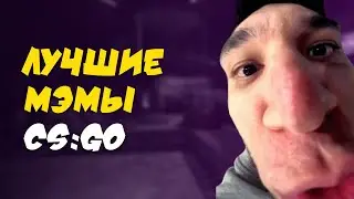 CS:GO мемы | Приколы на Твич | CS:GO Memezone