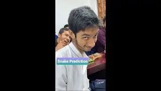 Snake Prediction