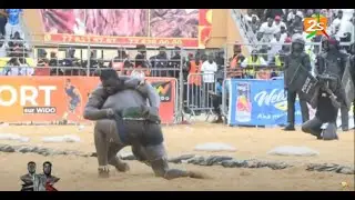 Bantamba: Combat Balla-Siteu, Ada Fass prêt pour Modou LO ? - Par Modou Mbaye | 22 Juillet 2025