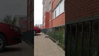 Zapallar. Xorazm. Urganch