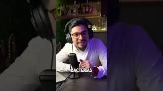 #shorts 🤔 ¿COMO se HACEN los TAPONES de CORCHO de una BOTELLA de VINO?