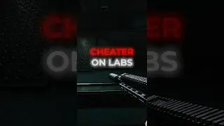 Labs cheaters are just different.. 