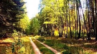Как расслабиться, как избавиться от стресса?Музыка для медитации устраняет панические атаки и невроз