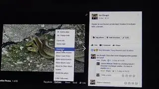 Facebook Image download problem with Chrome Browser