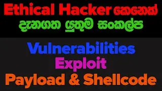 ethical hacking sinhala - vulnerabilities, exploit, payload and shell code in sinhala