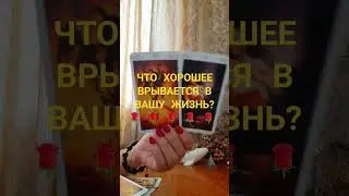 #таросовет #тарогаданиялюбовь #таро #tarot #тароотношения #гадание #гаданияналюбовь #таролог #таро