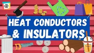 HEAT CONDUCTORS AND INSULATORS | SCIENCE | The Study Pod