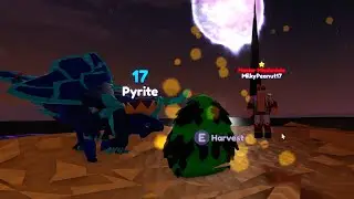 Dragon Adventures 