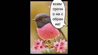 Отряд и9 часть 2