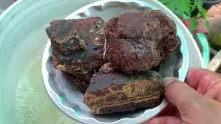 Amino Acid For Plants | How to Make | At Home & Save Thousands