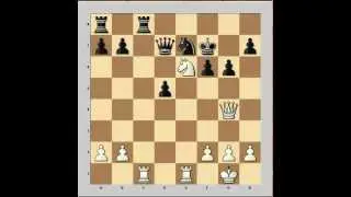The Battle of Hastings | Wilhelm Steinitz vs Curt von Bardeleben