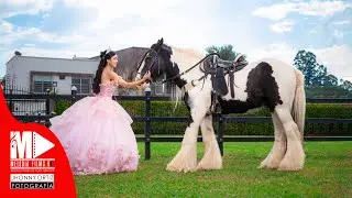 Sesión  PRE15  Alejandra - Melodía Films - Fotógrafo de Quinceañeras Popayán, Cauca - Mis Quince