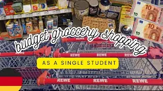 🇩🇪 ??!€ Grocery Shopping at REWE Shop | Prices 2024 | Food Budget as a single Student in Germany