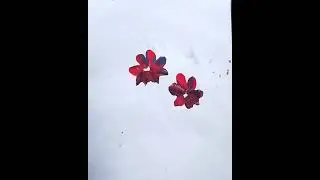 Great flower painting on finger 😱😱 #short #sonamartwork #trending #viral