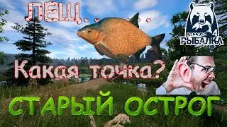 Фарм Леща, с минимальными требованиями  корма. Озеро Старый Острог. Русская Рыбалка 4.