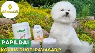Kokius papildus rinktis augintinio imuninės sistemos stiprinimui?