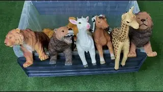 Учим Животных на английском Тигр Жираф Гепард Лошадь Развивающие Мультики