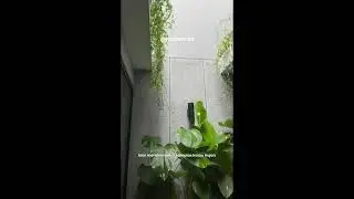 Desain Taman di Tengah Rumah