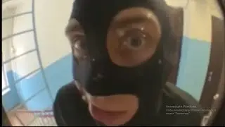 У тик тока весенние обострение