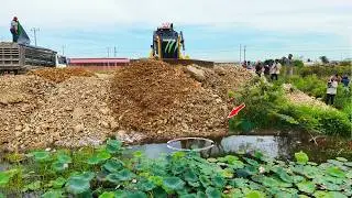 Swamp Landfill Challenge! Powerful Shantui dozer Ready To Push Massive Stone Pile Into  Lotus Pond