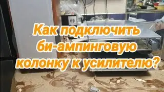 Как подключить би-ампинговую колонку к усилителю?№680