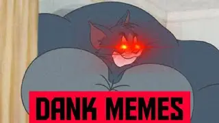 Tom and jerry meme compilation ( Volume 2 )