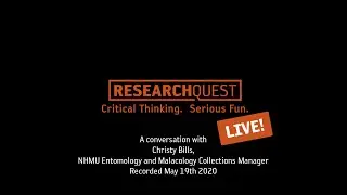 Research Quest LIVE Interview 5 19