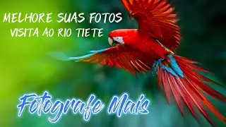 SAÍDA FOTOGRAFICA- RIO TIETÊ