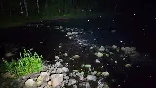 Поставил камеру ночью