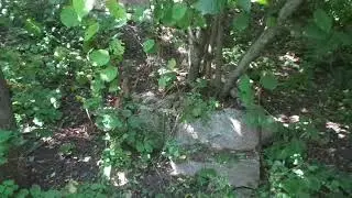 Фундук: микроклимат участка, удобрение листвой, полив камням... с неба.