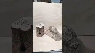 Help Me Pick Next Turning Vote Today