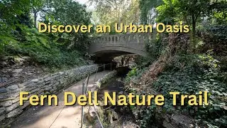 Discover an Urban Oasis: Fern Dell Nature Trail