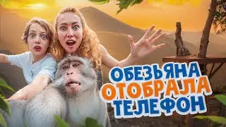 Попали в лес ДИКИХ ОБЕЗЬЯН на БАЛИ! Живём в отеле, который находится прямо в ЗООПАРКЕ