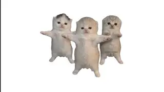 Three Cats Dancing