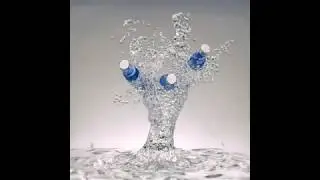 .......
