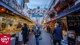 【4K HDR】 Walking Around Tokyo Ueno, Spring 2021