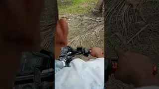 samson tik tok