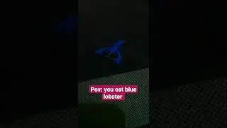 blue lobster #meme  #shorts