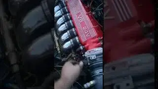 alfa gtv 3.0