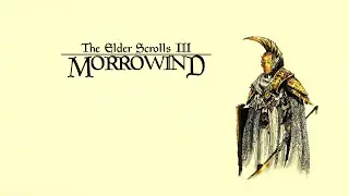The Elder Scrolls III: Morrowind - Бессмертная Классика. Играем В Игру-Победителя На Аукшене