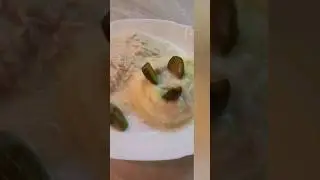 КАК ВКУСНО ПРИГОТОВИТЬ КАРТОФЕЛЬНОЕ ПЮРЕ. ВКУС ВАС ПРИЯТНО УДИВИТ И 🥰😘😍